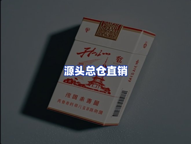 专业团队